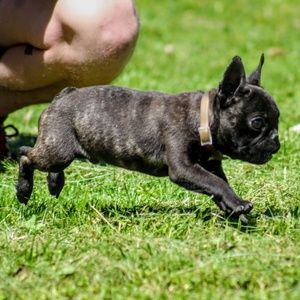 We Love Reasonable Offers!!